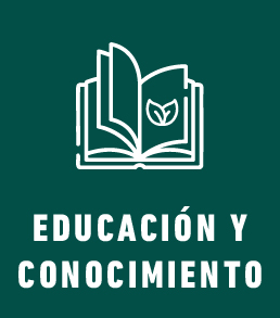 Categoría 2