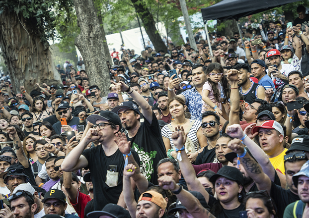 expoweed-publico