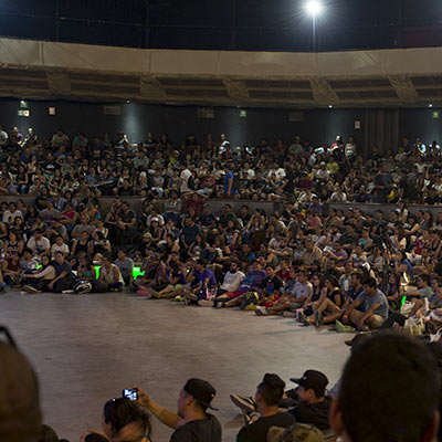 Expoweed foro